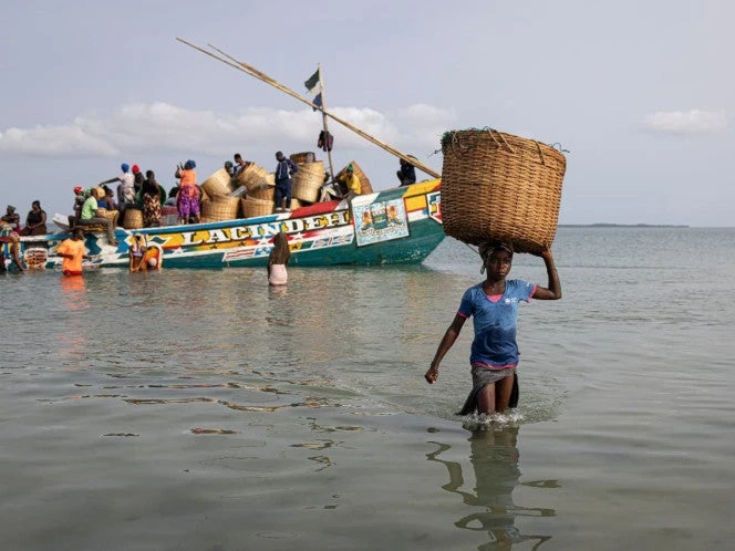 Cambio climático: ¿Cuánta gente vive en Nyangai, la isla que se traga el mar?
