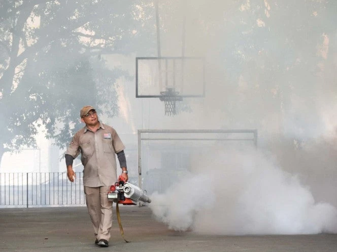 Suman 22 muertes por dengue en México; van más de 4 mil 500 casos en 2025