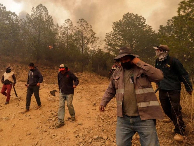 Registra México 99 incendios forestales; Sinaloa tiene 16 activos