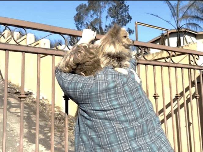 Perrito 'Oreo' desafió las llamas 5 durante días; así se reencontró con su dueño