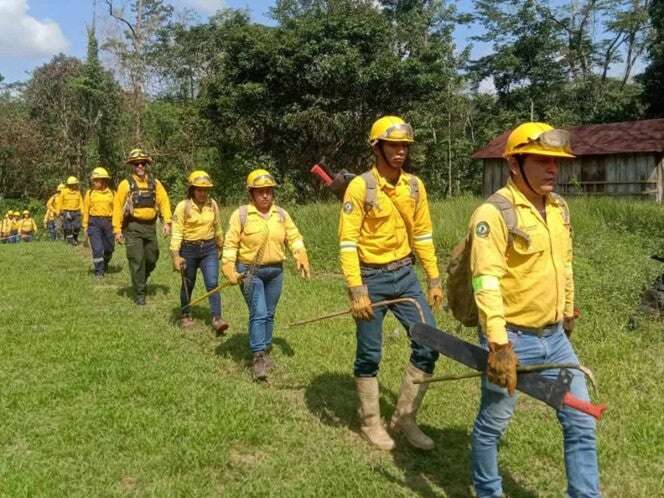 Se preparan tres órdenes de gobierno con Conafor para una temporada intensa de incendios forestales