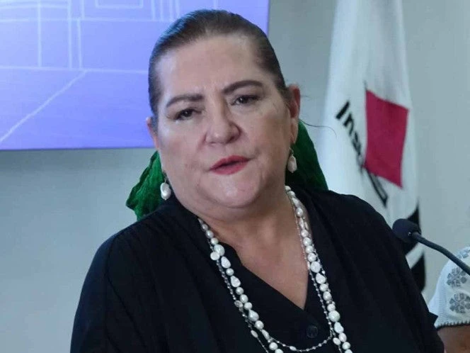 OEA despliega Misión de Observación Electoral en México para supervisar elecciones
