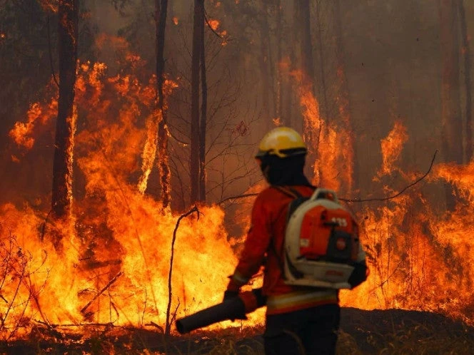 Guerrero, en llamas: registra 25 incendios forestales; el país enfrenta 111