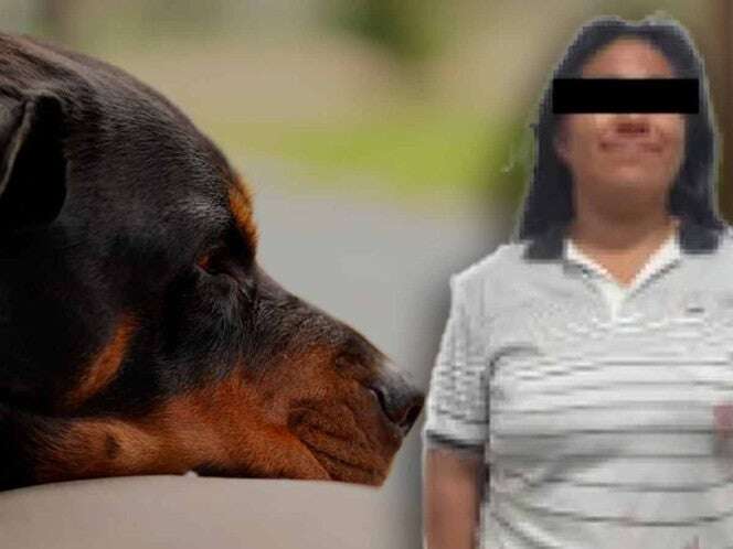 Vinculan a proceso a mujer que apuñaló a un perrito en Puebla