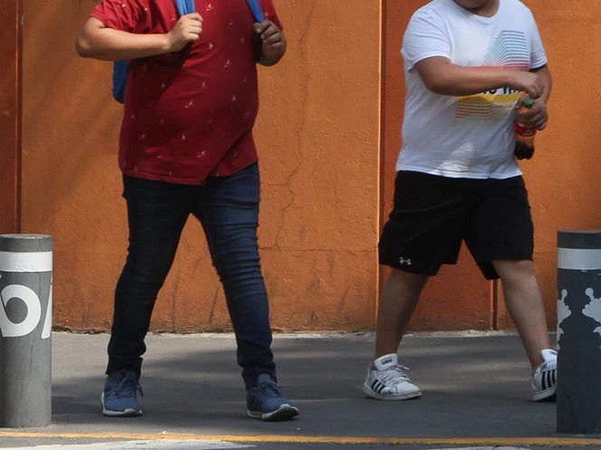 ‘Sobrepeso y obesidad infantil siguen alarmantemente altos’: OMS