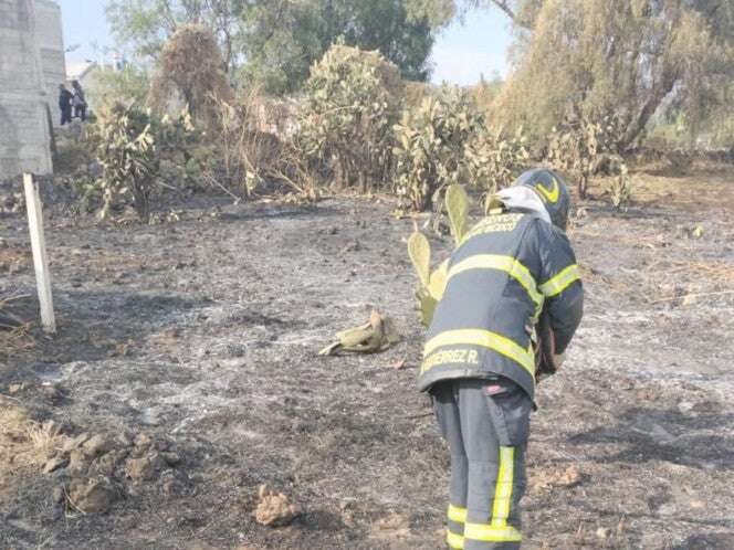 Afinan bomberos combate a incendios forestales