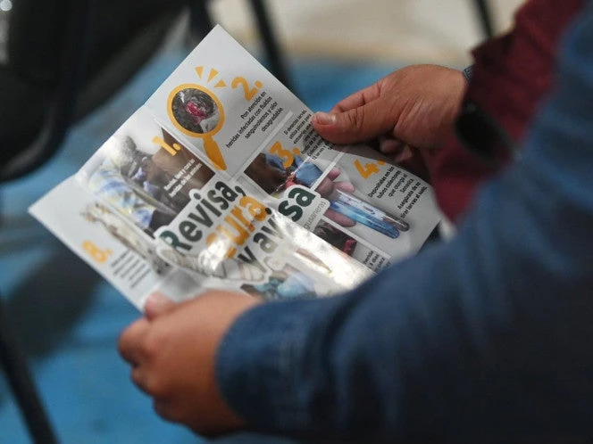Confirman dos casos más de gusano barrenador en bovinos de Oaxaca