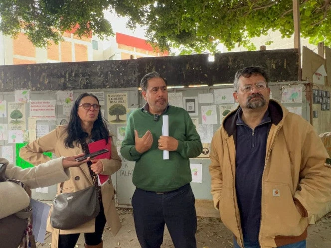 Vecinos promueven amparos y denuncian intromisión política por el árbol 'Laureano'