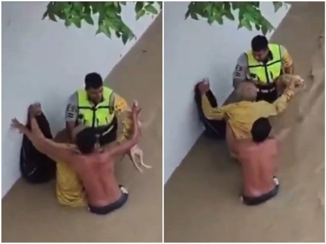 VIDEO | Tras inundaciones, rescatan a adulto mayor y a sus 13 perros que vivían bajo un puente