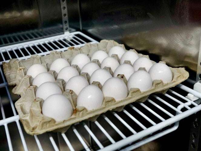 Patrulla fronteriza de EU incauta más huevos que fentanilo