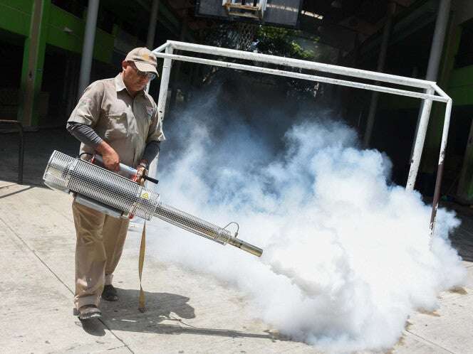 México reporta 887 casos de dengue en enero