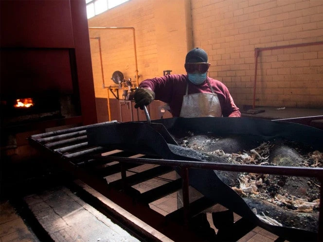 Empresa funeraria bajo investigación; descubren 60 cuerpos sin cremar