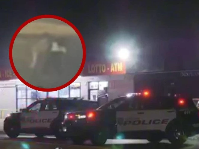 Mujeres pelean en plena autopista y son arrolladas; imágenes sensibles