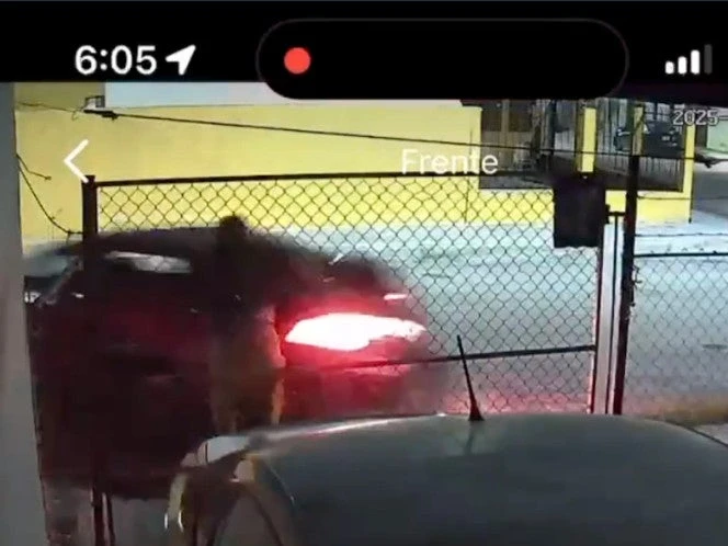 A Wendy Lizeth la atropelló brutalmente su expareja; agresión queda en video
