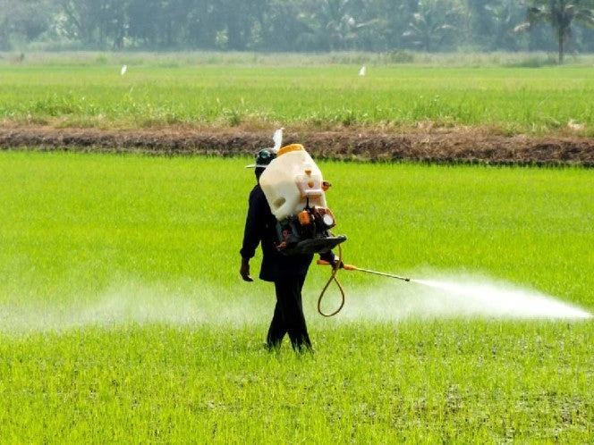 Casa Blanca descarta límites a pesticidas pese a riesgos infantiles
