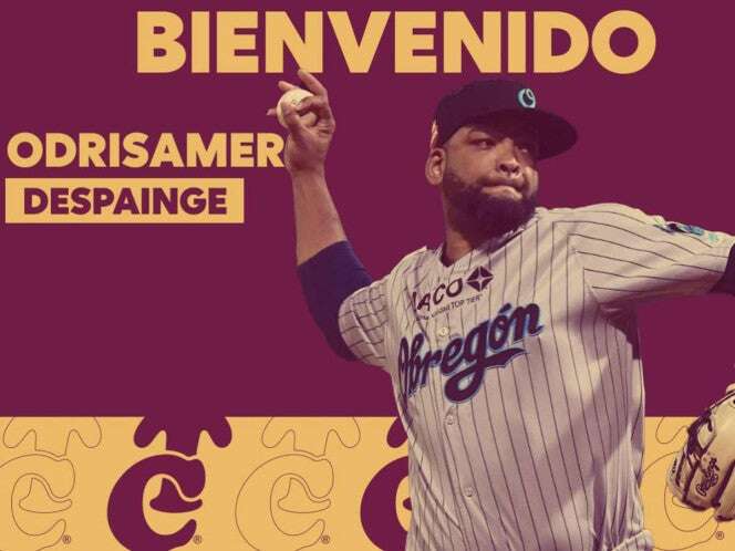 Tomateros y Charros eligen refuerzos para la final de LMP