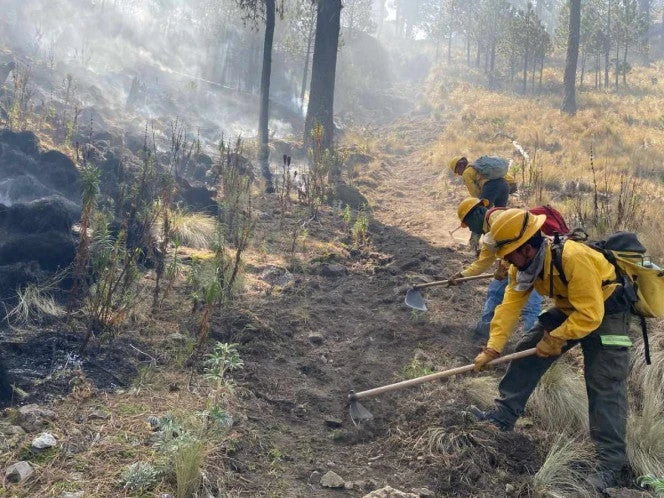 México en llamas con 128 incendios forestales activos