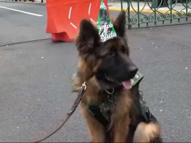 VIDEO: El binomio canino Arkadas recibe su ascenso a cabo