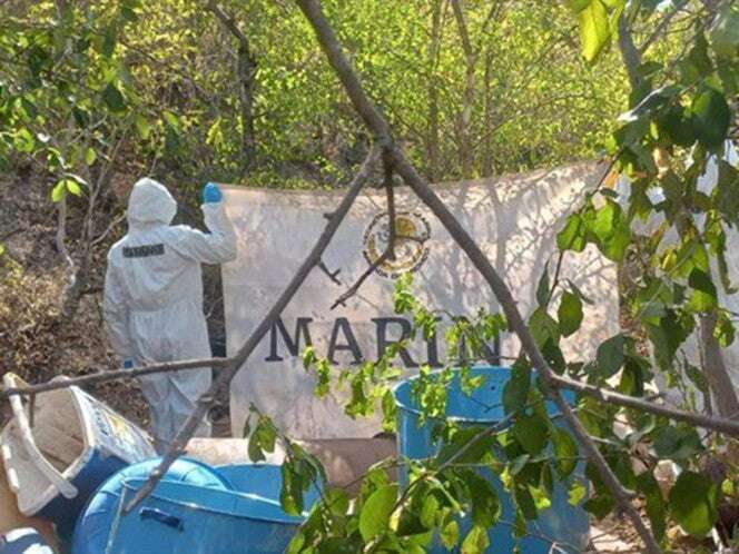 Marina neutraliza laboratorio clandestino en Sinaloa