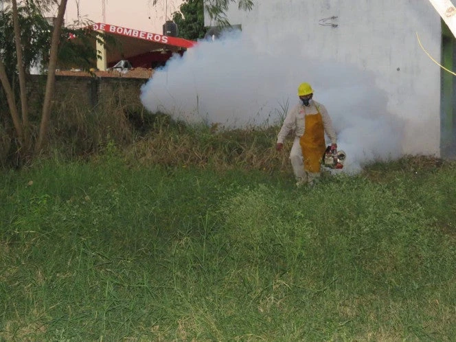 Casos de dengue en Hidalgo: San Felipe Orizatlán encabeza la lista