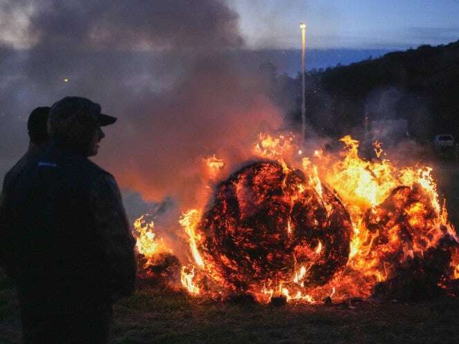 Contaminación de aire por incendios provoca 1.5 millones de muertes anuales