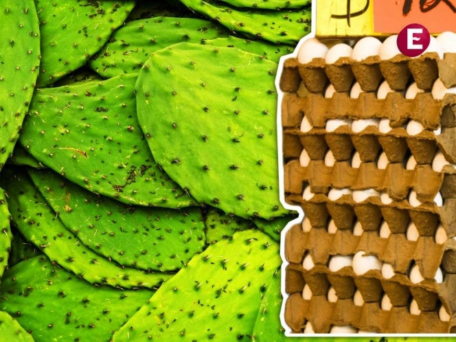 ¡Inflación se desacelera! Baja a 3.55% en primera quincena de julio de 2025
