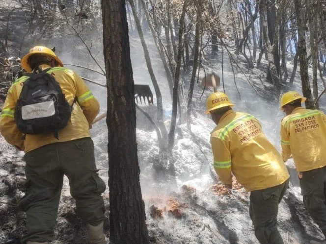 Incendio forestal en Oaxaca deja tres personas muertas 
