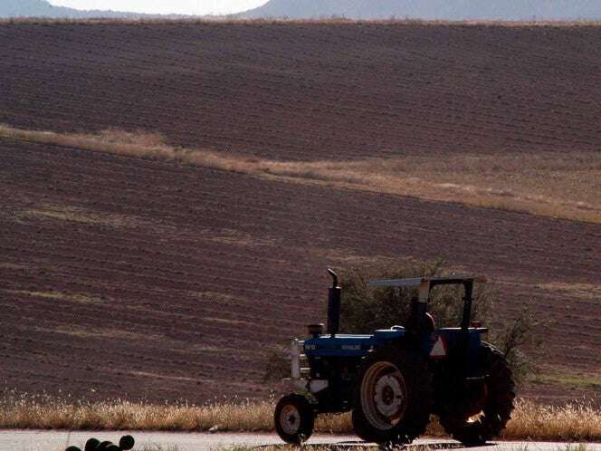 Agricultores zacatecanos en el limbo