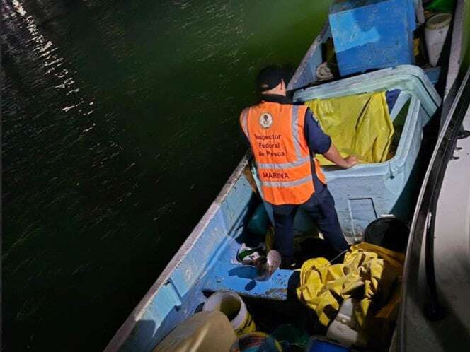 Semar detiene a 4 personas con producto marítimo en veda