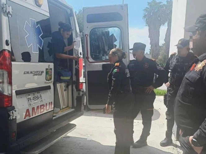 Muere mujer por mordedura de araña en Montemorelos, NL