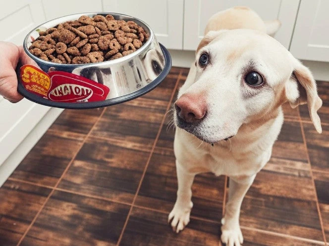 Alerta por comida para perro contaminada con salmonela y listeria: FDA
