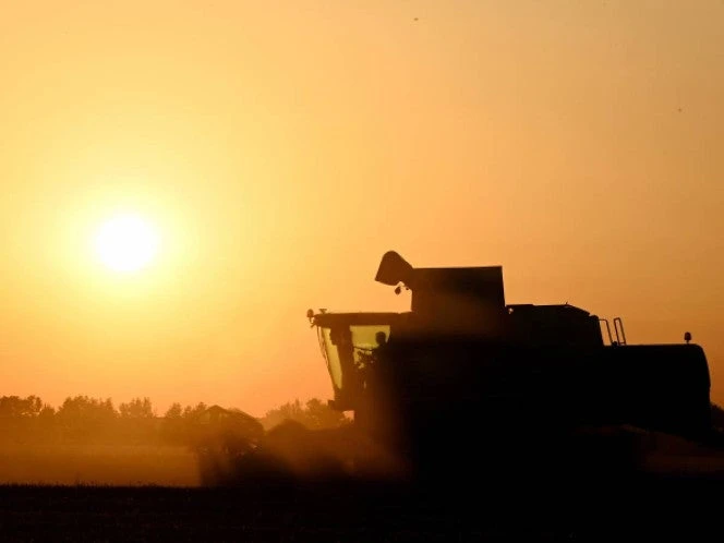 Aumentan los muertos por intensa ola de calor en Europa