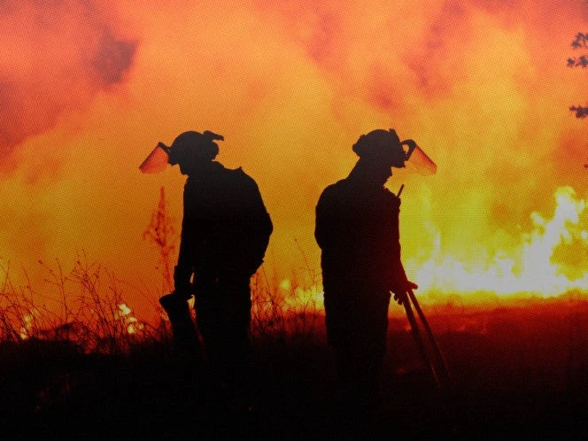 ¿Qué sabemos de la ola histórica de incendios forestales que asola España?