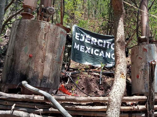 Defensa inhabilita campamentos ilegales y asegura armas en Michoacán 