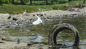 RJ: pescadores retiram 46 toneladas de lixo das Baías de Guanabara e Sepetiba