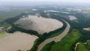 CNJ analisa criação do Fórum Brasileiro Ambiental no judiciário