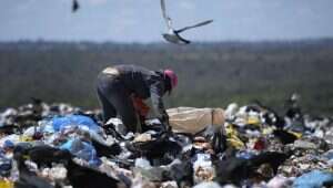 Metade dos brasileiros quer reciclar mais em 2025