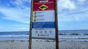 Mulher é mordida por tubarão em praia de Recife; veja vídeo