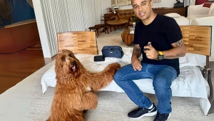 ‘Cães detectam alterações de glicemia antes de aparelhos’, diz treinador