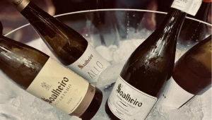 Conheça o Vinho Verde: bebida conhecida por sua vivacidade, frescor e notas frutadas