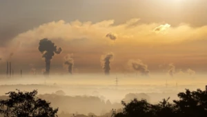 Crescimento econômico é responsável pelo aumento das emissões de CO2 mundiais, afirma OCDE