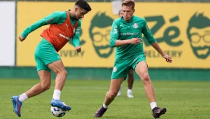 Agenda L!: curtinhas do Palmeiras do dia 13/07/2025