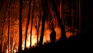 Bombeiros combatem 560 incêndios no Rio de Janeiro em 2025