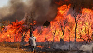 Incêndios florestais e seca afetam 11,2 Milhões de brasileiros em 2024