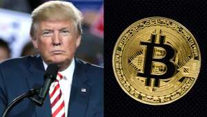 Carteira cripto de Trump tem R$ 7 milhões em moeda ‘mãe’ do ativo com potencial de subir 300x em até 10 meses