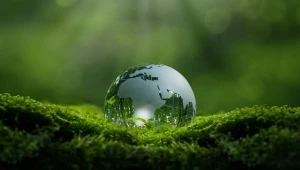 6 dicas para estudar sobre meio ambiente para o vestibular