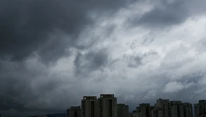 Queda de árvores na Alameda Santos, em São Paulo, deixa via interditada