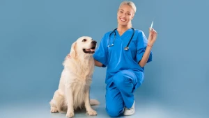 5 dicas para vacinar seu pet sem comprometer o orçamento