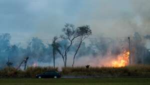 Governador de Mato Grosso e deputado pedem por penas mais duras em casos de incêndio