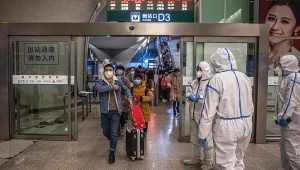 Novo estudo aponta origem da Covid-19 em comércio de animais na China